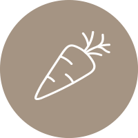 VEGETARIÁNSKÝ