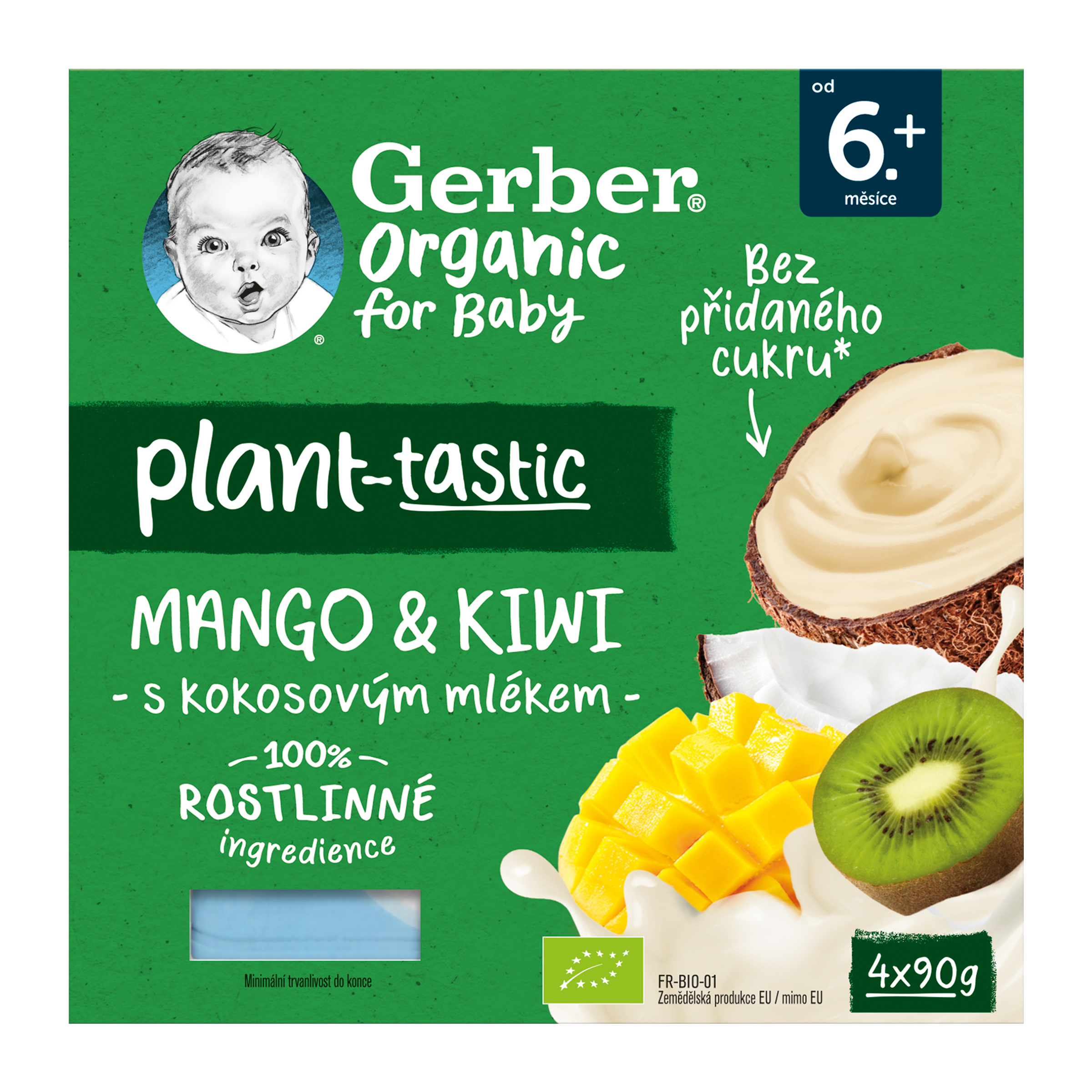 Rostlinný dezert mango a kiwi s kokosovým mlékem