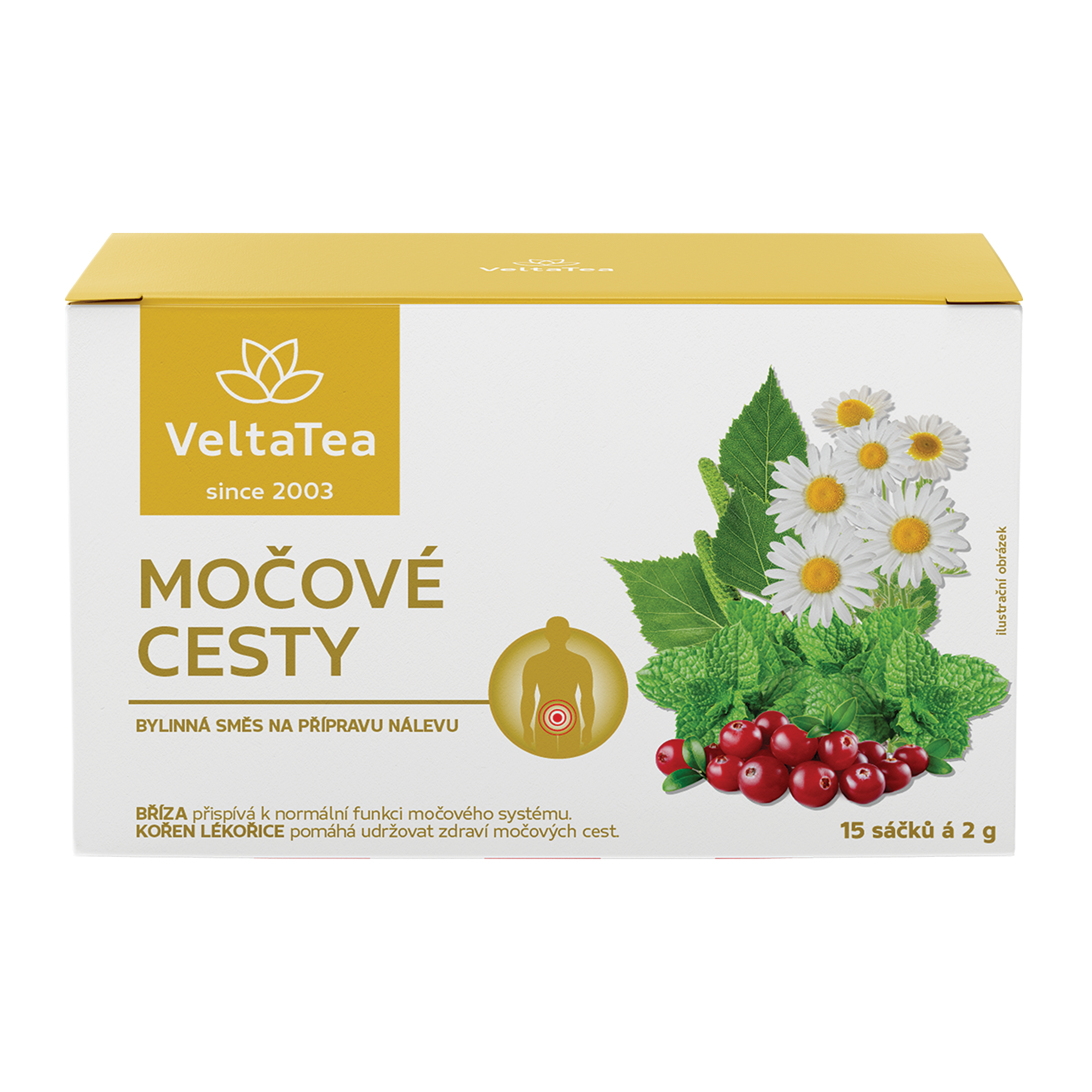 Bylinná čajová směs Močové cesty